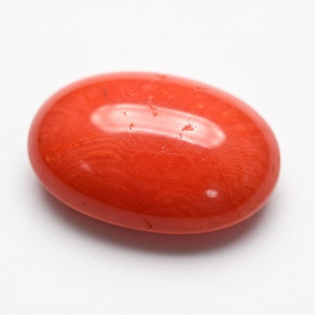 Red Coral (Moonga)